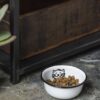 BOWL CAT - Image 2